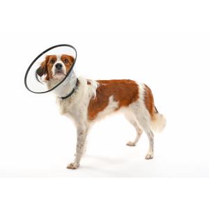 BUSTER Comfort Collar 7.5 cm, 5/pk BUSTER Comfort Collar 7.5 cm, 5/pk