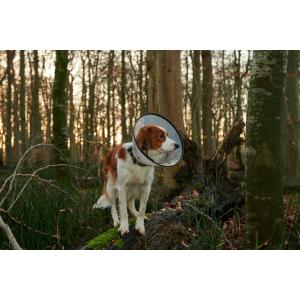 BUSTER Comfort Collar 20 cm, 5/pk BUSTER Comfort Collar 20 cm, 5/pk