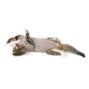 BUSTER Body Suit Step'n Go for cats, S BUSTER Body Suit Step'n Go for cats, S