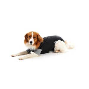 BUSTER Body Suit Classic for dogs, black/grey, 39 cm, str. XS BUSTER Body Suit Classic for dogs, black/grey, 39 cm, str. XS