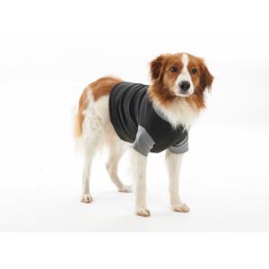 BUSTER Body Suit Classic for dogs, black/grey, 76 cm, XXXL BUSTER Body Suit Classic for dogs, black/grey, 76 cm, XXXL