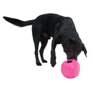 BUSTER Food Cube cherry BUSTER Food Cube cherry