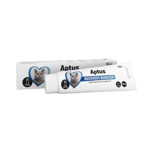 Aptus Recovery Booster t/kat, 60 g (Reconvalescent) Aptus Recovery Booster t/kat, 60 g (Reconvalescent)