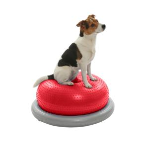 KRUUSE Physio Holder for Doughnut Ball KRUUSE Physio Holder for Doughnut Ball