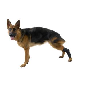 KRUUSE Rehab Hock Protector, XS KRUUSE Rehab Hock Protector, XS