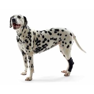 KRUUSE Rehab Hock Protector, XS KRUUSE Rehab Hock Protector, XS