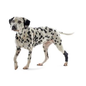 KRUUSE Rehab Hock Protector, XS KRUUSE Rehab Hock Protector, XS