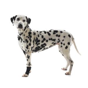 KRUUSE Rehab Carpal Joint Protection, XS KRUUSE Rehab Carpal Joint Protection, XS