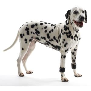 KRUUSE Rehab Weight Cuffs for dogs, XL KRUUSE Rehab Weight Cuffs for dogs, XL