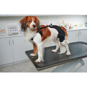 KRUUSE Rehab Pro Knæledsbeskytter, XL, højre KRUUSE Rehab Pro Knæledsbeskytter, XL, højre