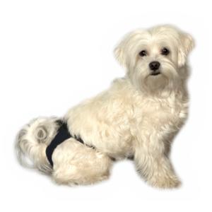 BUSTER Sanitary Pants menstrual pad, S, 25/pk BUSTER Sanitary Pants menstrual pad, S, 25/pk