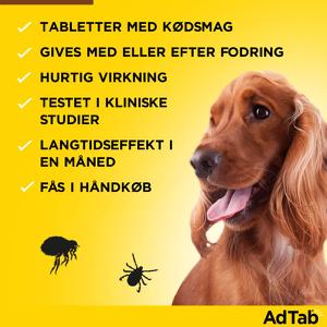 AdTab Tyggetabletter til hunde >5,5-11 kg. 6 tabletter AdTab Tyggetabletter til hunde >5,5-11 kg. 6 tabletter