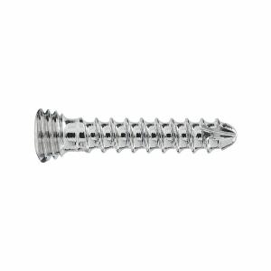 1.5MM LOCKING STAR SCREW 8MM LONG (LS15STAR08) 1.5MM LOCKING STAR SCREW 8MM LONG (LS15STAR08)