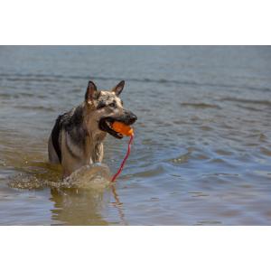 Cool Kong Large Cool Kong Large