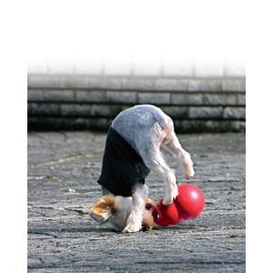 KONG Bounzer 200 g, M, PB2E
KONG Bounzer 200 g, M, PB2E