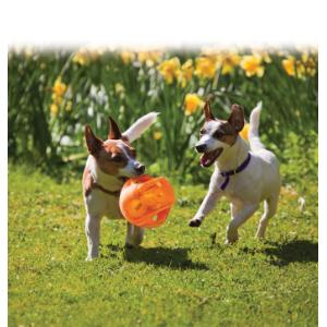 KONG Jumbler Ball, L/XL, TMB1E
KONG Jumbler Ball, L/XL, TMB1E