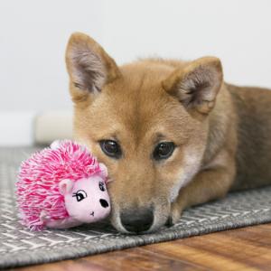 KONG Comfort HedgeHug Puppy, pindsvin, XS, RCD25E KONG Comfort HedgeHug Puppy, pindsvin, XS, RCD25E