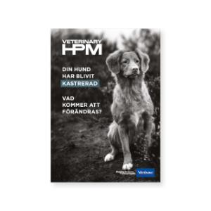 HPM Brochure - Din hund har blivit kastrerad SE HPM Brochure - Din hund har blivit kastrerad SE