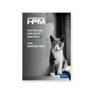 HPM Brochure - Katten din har blitt kastrert NO HPM Brochure - Katten din har blitt kastrert NO