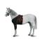 KRUUSE Equine Frontal Bandaging , size S KRUUSE Equine Frontal Bandaging , size S