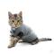 BUSTER Body Suit EasyGo for Cat, 27,5 cm, size XXXS, grey/black BUSTER Body Suit EasyGo for Cat, 27,5 cm, size XXXS, grey/black
