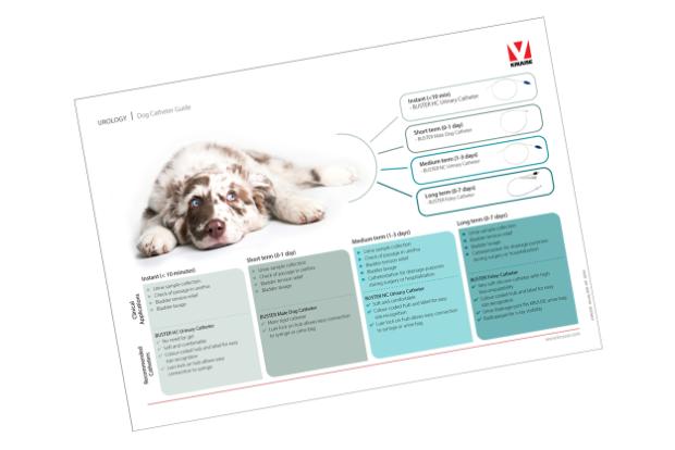 DK_Dog Catheters