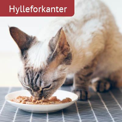 Hyldeforkanter