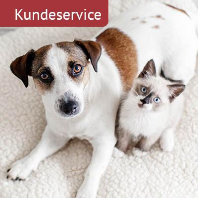 Kundeservice