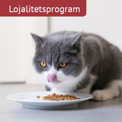 Loyalitet