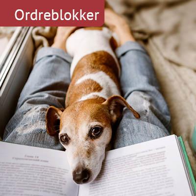 Ordreblokke