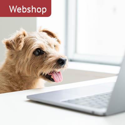 Webshop