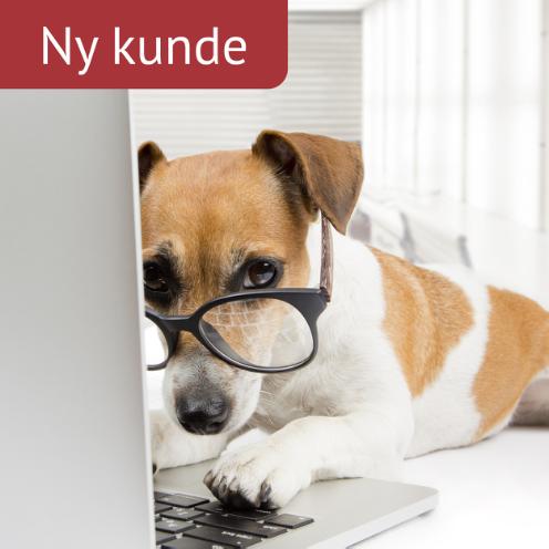 NY KUNDE