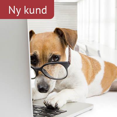 NY KUNDE
