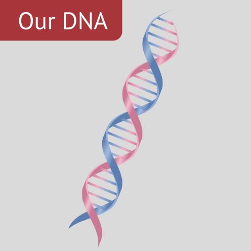 Vores DNA