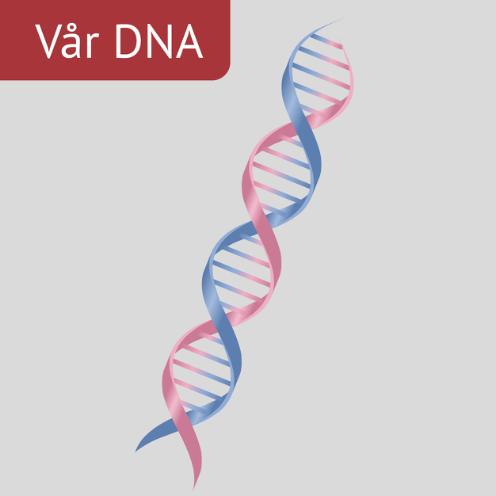 Vores DNA