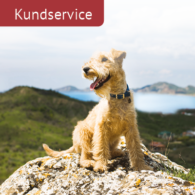 Kundeservice