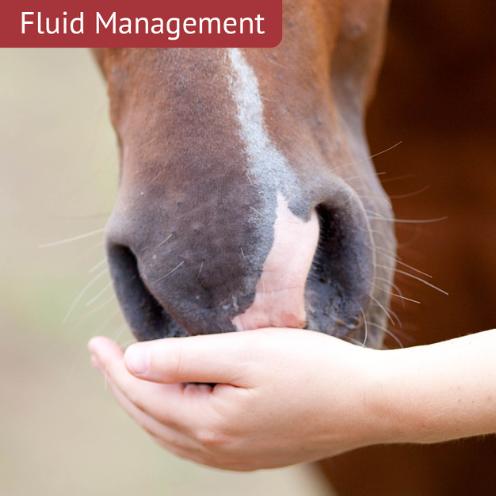 Fluid management