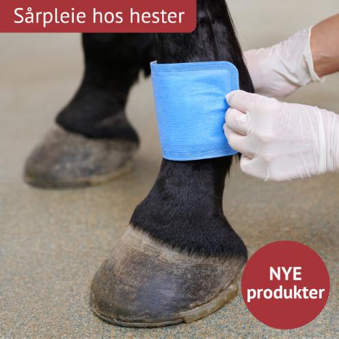 Equine Wound care