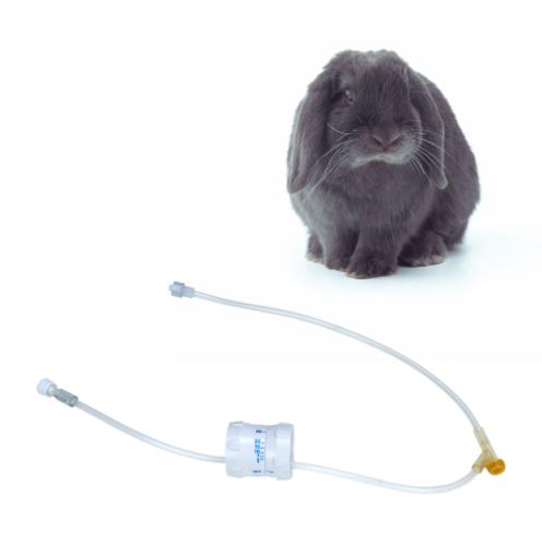 Fluid Therapy in Rodents