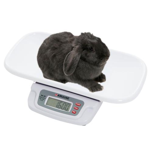 Assessing hydration status in rabbits and rodents