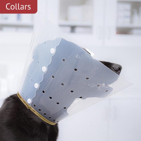 Collars
