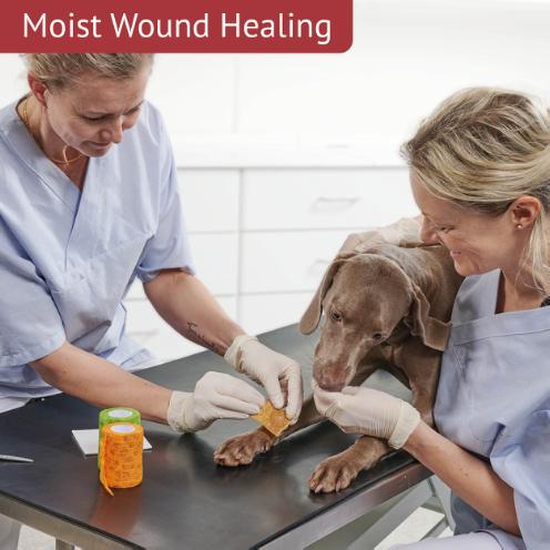Moist Wound Healing