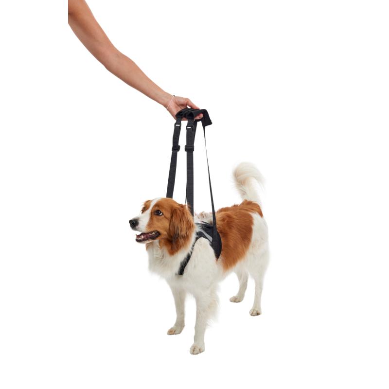 KRUUSE Rehab Lifting Harness, front legs, S KRUUSE Rehab Lifting Harness, front legs, S