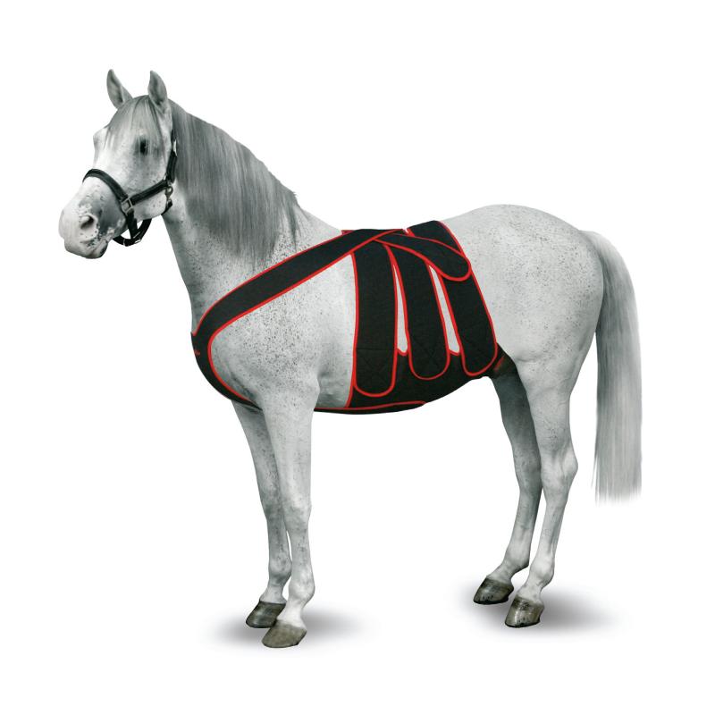 KRUUSE Foal Post Colic Surgery Kit, S KRUUSE Foal Post Colic Surgery Kit, S