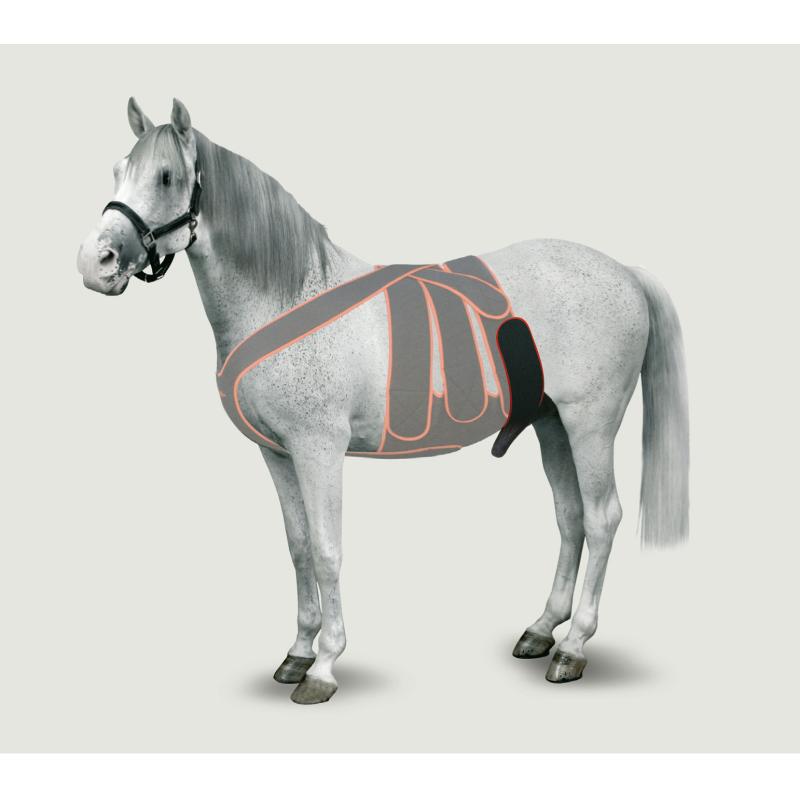 KRUUSE Equine Scrotum Strap, M KRUUSE Equine Scrotum Strap, M