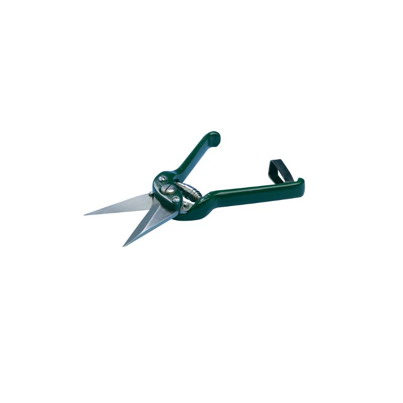 Hoof Cutter, sheep Hoof Cutter, sheep