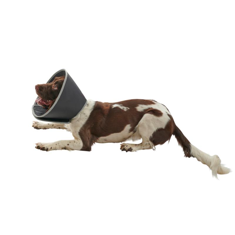 BUSTER Foam Collar, 12.5 cm, 5/pk BUSTER Foam Collar, 12.5 cm, 5/pk