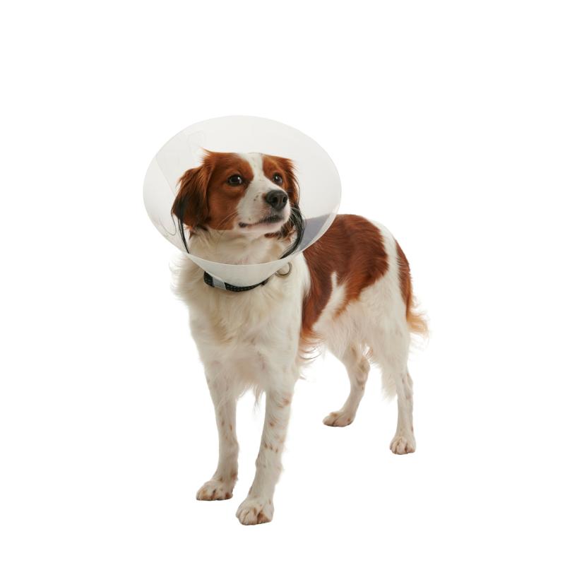 BUSTER Clic Collar, 10 cm, 50/pk BUSTER Clic Collar, 10 cm, 50/pk