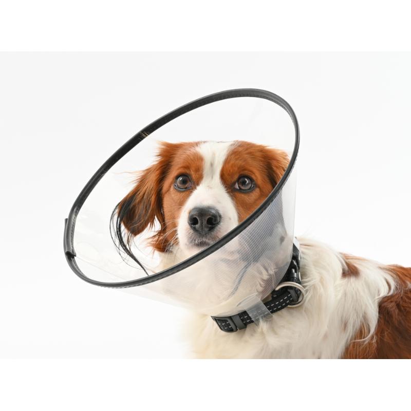 BUSTER Comfort Collar 20 cm, 5/pk BUSTER Comfort Collar 20 cm, 5/pk