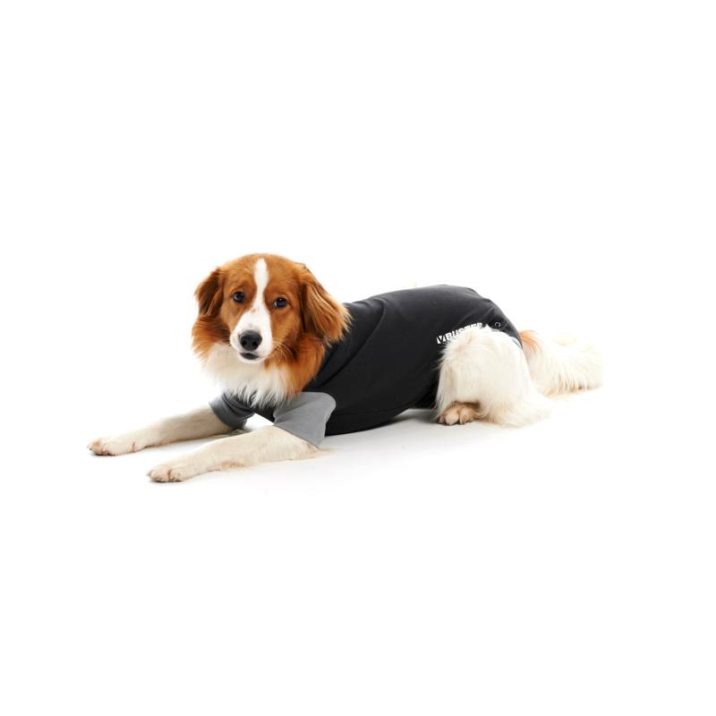 BUSTER Body Suit EasyGo for dogs, black/grey, 45 cm, size M BUSTER Body Suit EasyGo for dogs, black/grey, 45 cm, size M